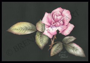 Opening Act Watercolor E-Tutorial